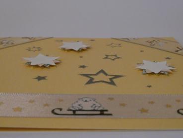 Preview: Nachtschlitteln 3D